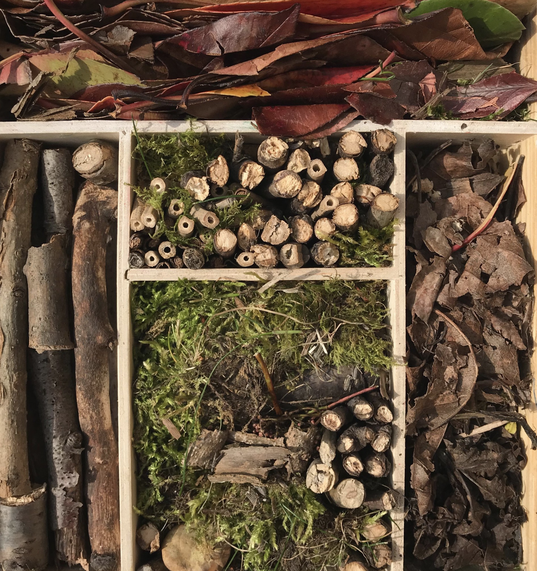Growing Up Green At Home: Bug Hotels for Beneficial Bugs