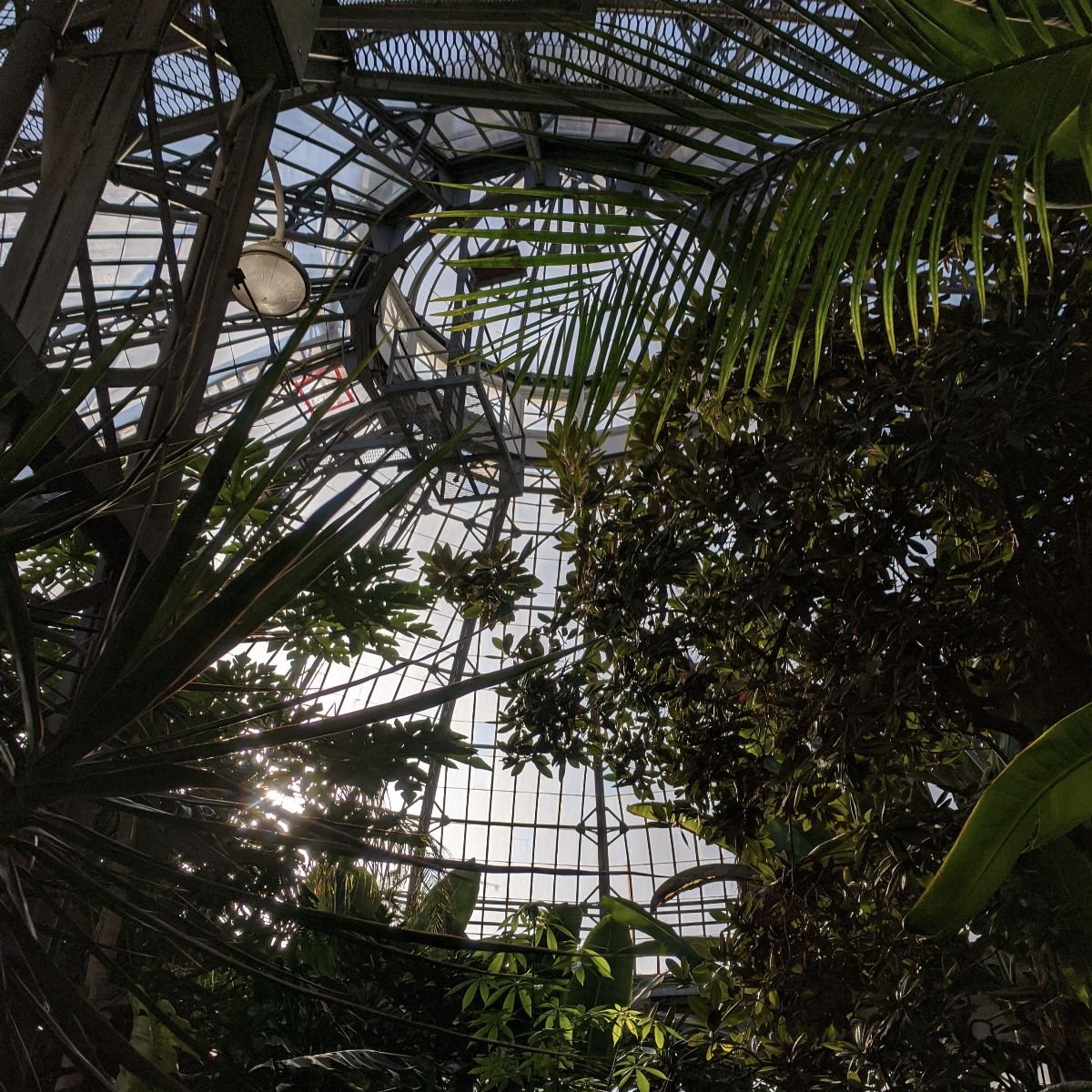 The Leaflet eNewsletter February 2020