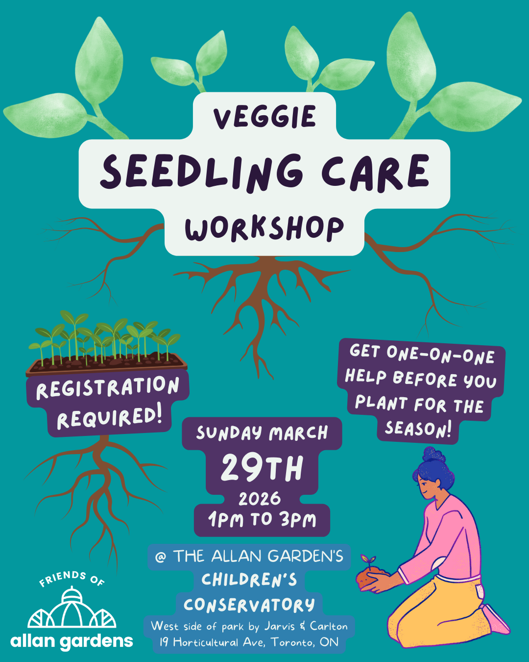 Veggie Seedling Care Workshop