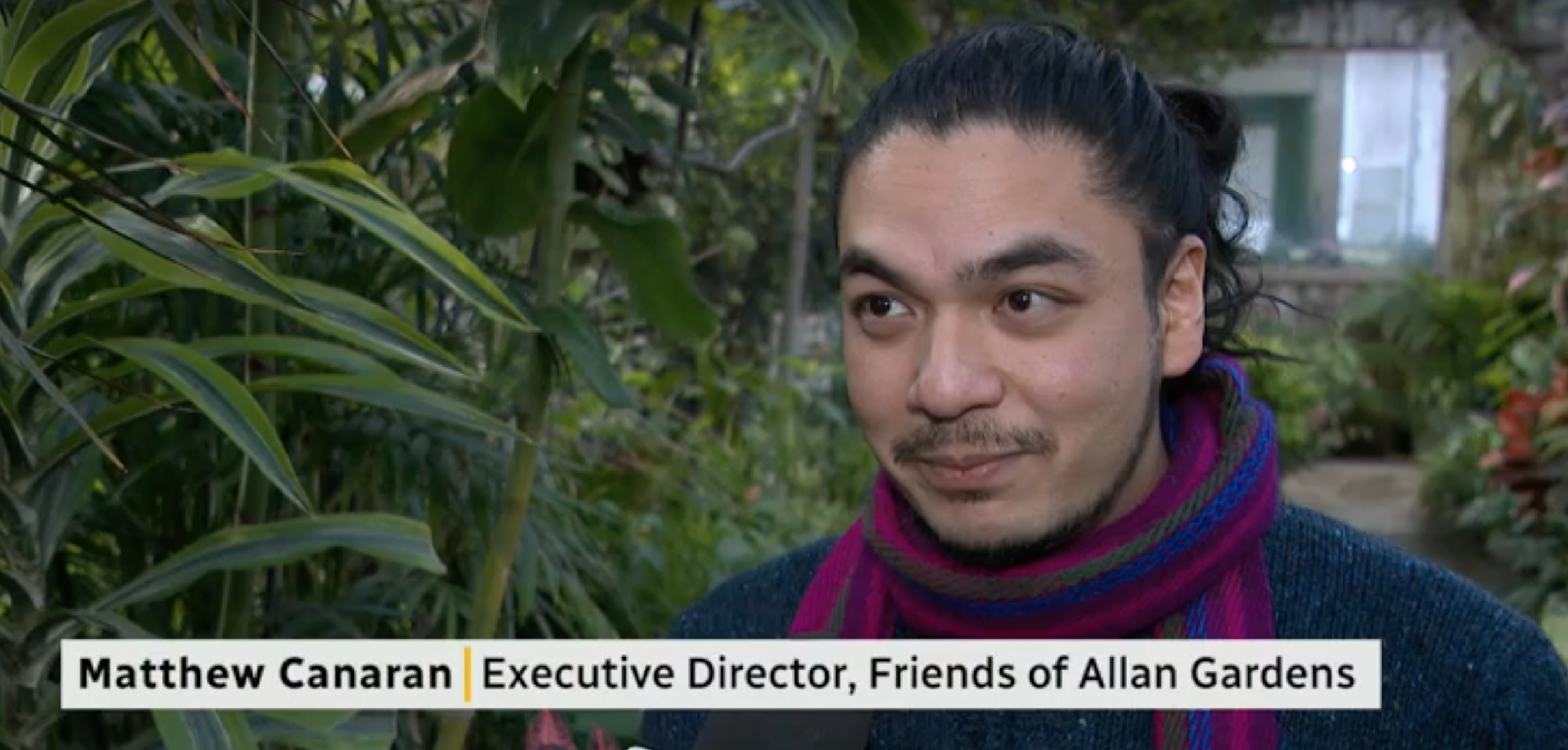 CBC: Petition to expand Allan Gardens gaining traction