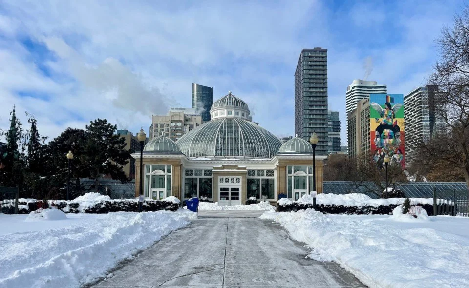 Toronto Today: Toronto organization launches petition to expand Allan Gardens