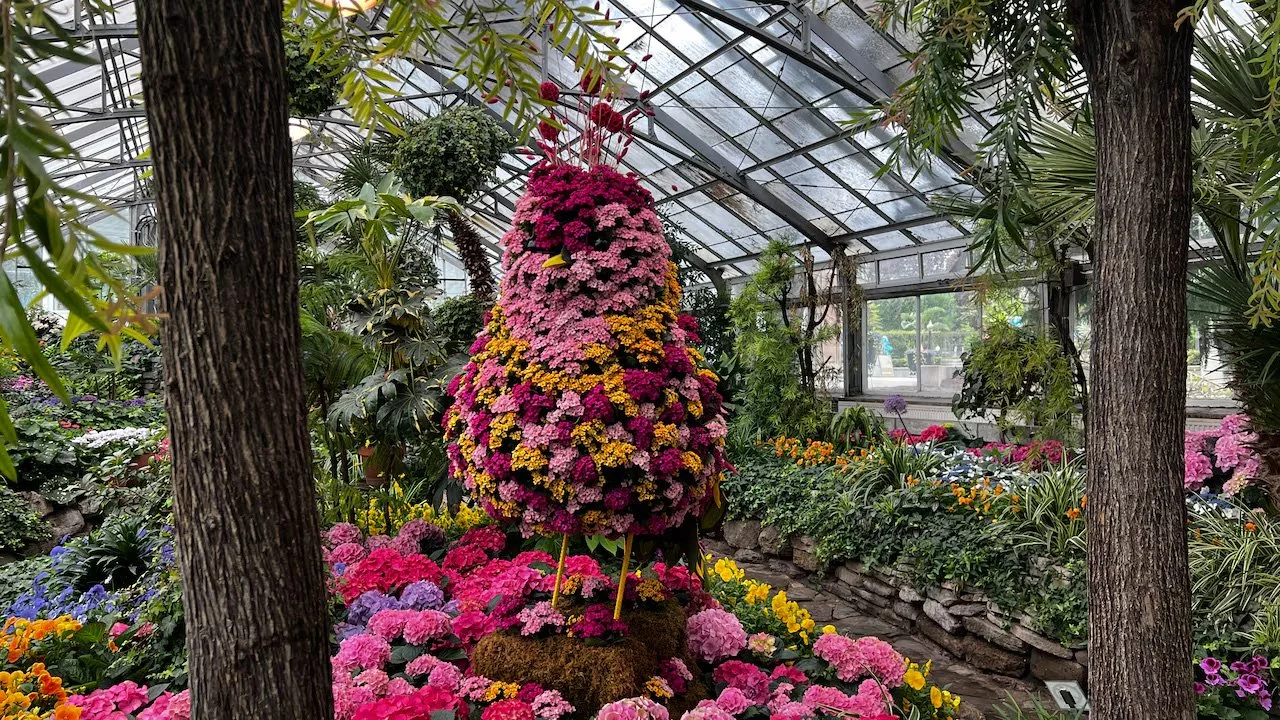 CBC: Allan Gardens could get a major greenhouse expansion if the city puts in $10M: councillor