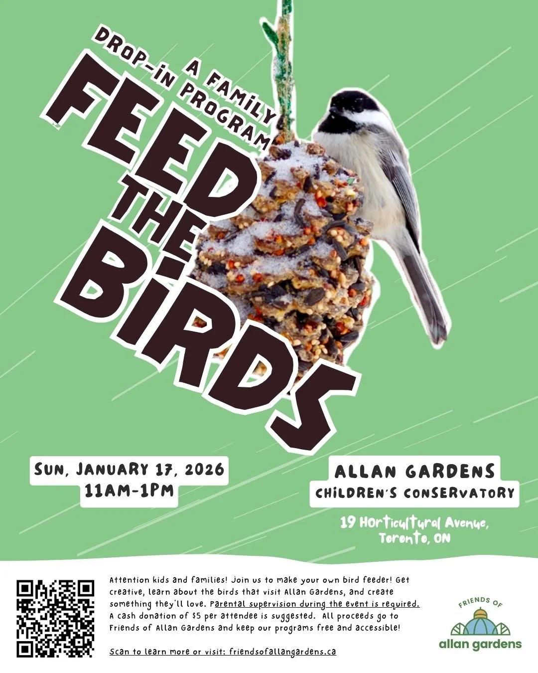 Feed the Birds!