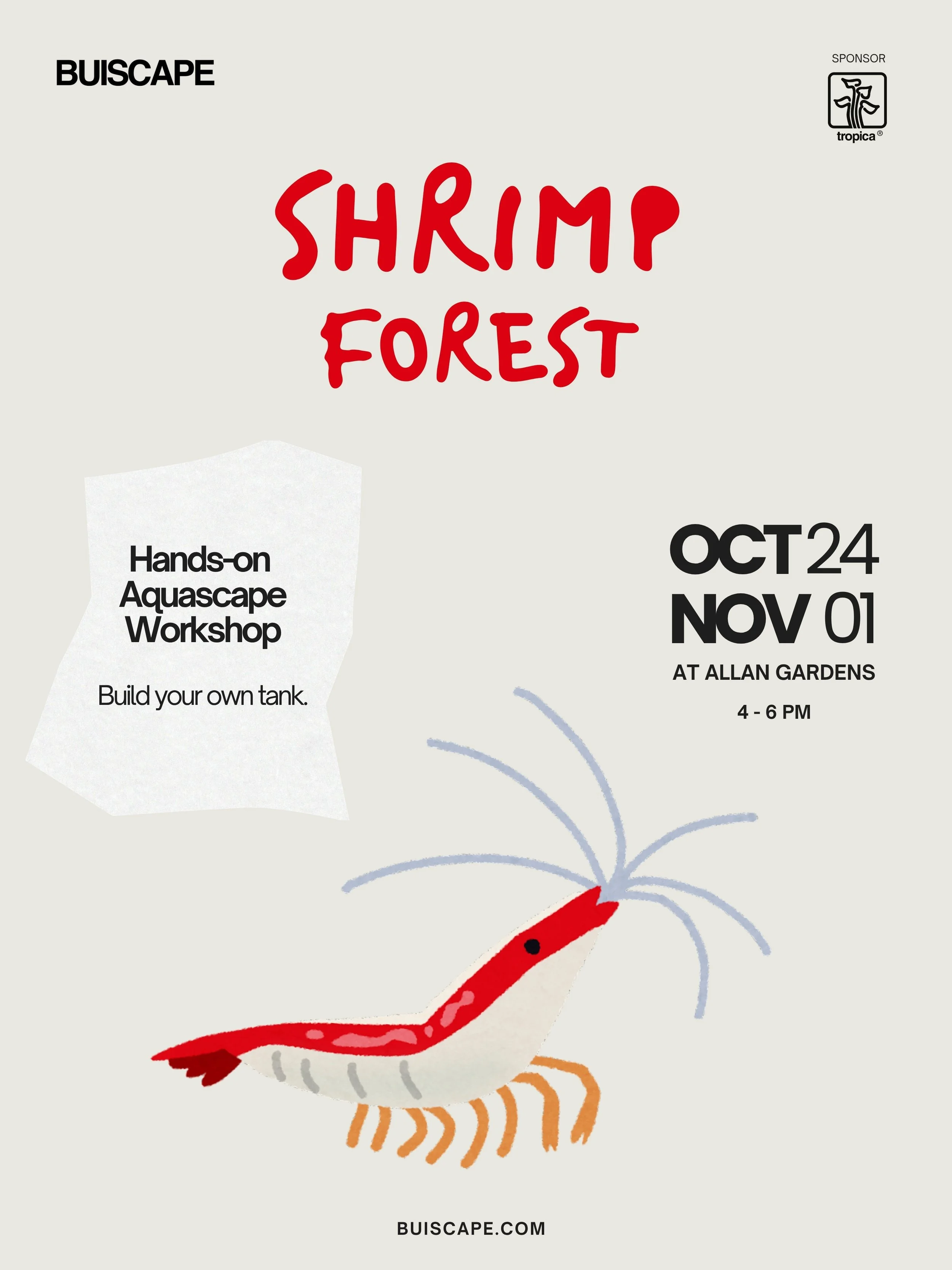 Shrimp Forest Aquascape Workshop