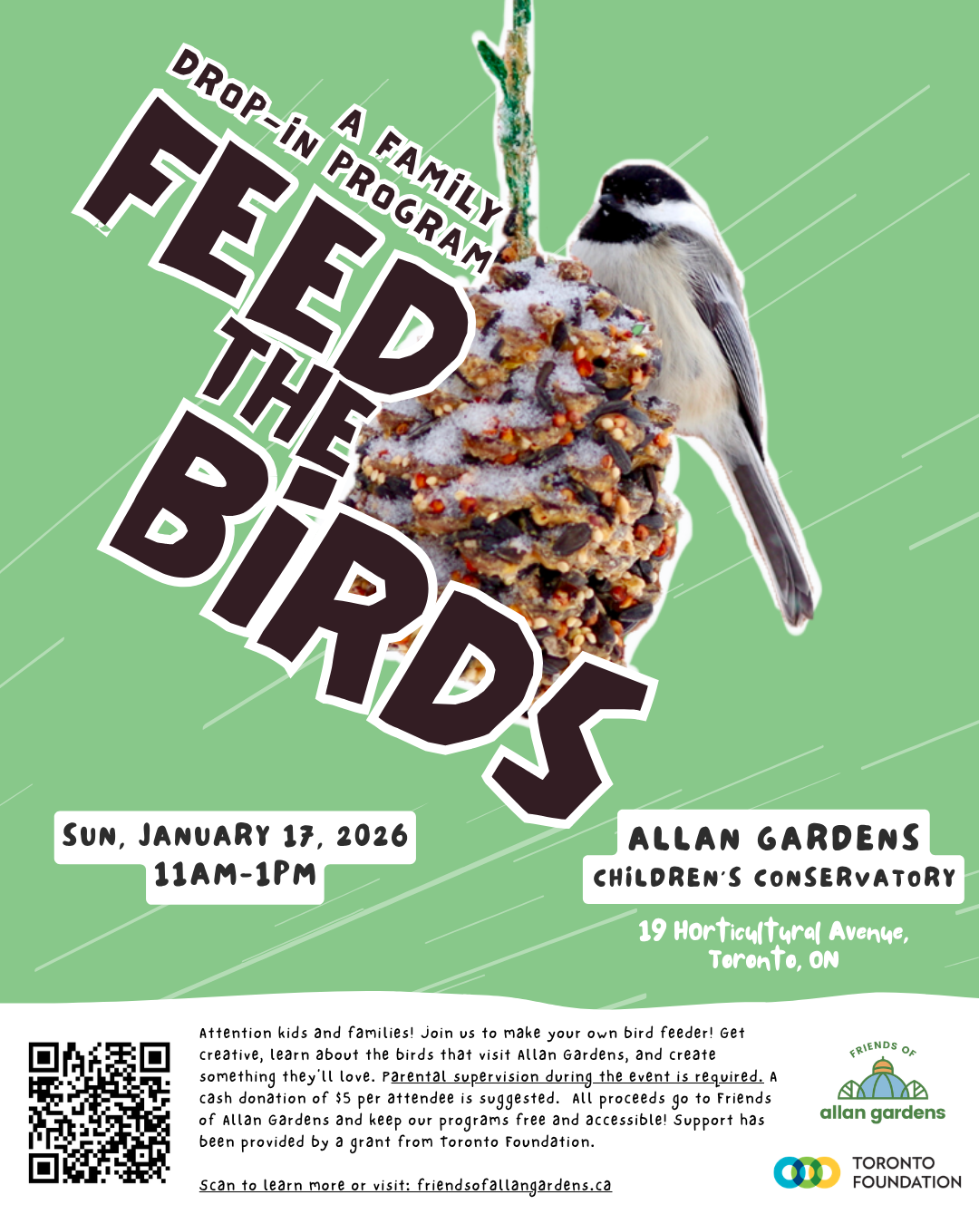 Feed the Birds!