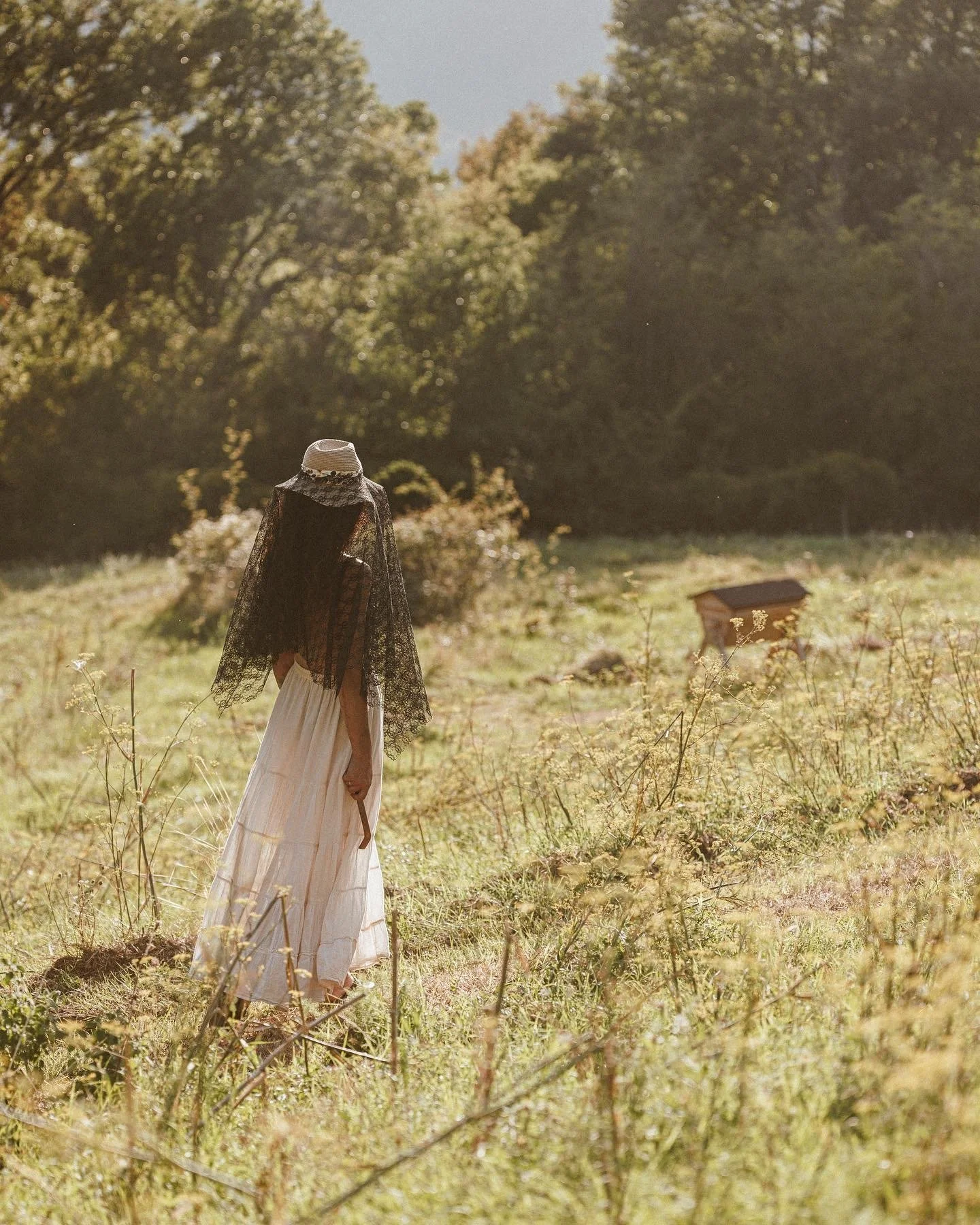 Dreaming with the Land