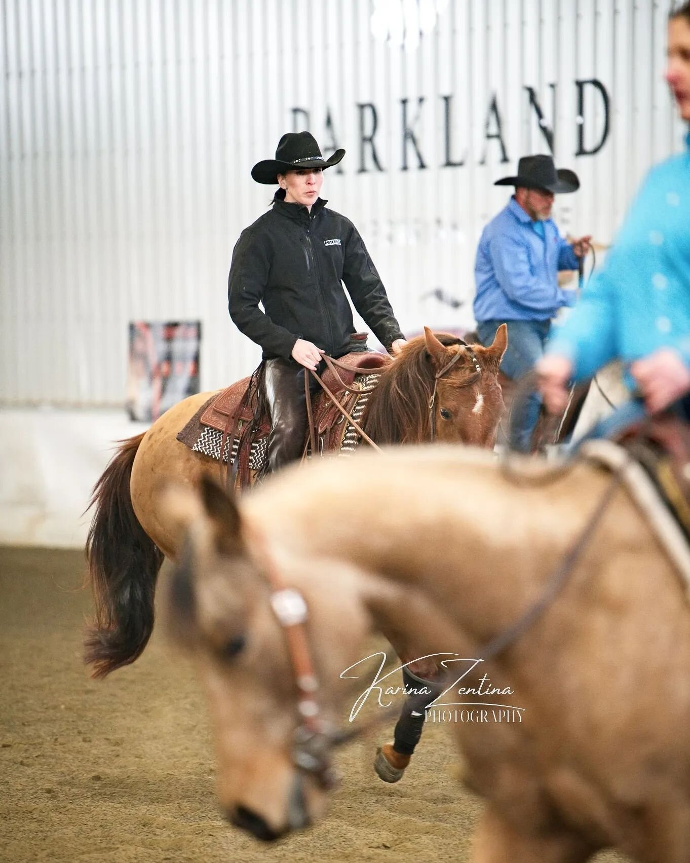 Couple of my favourite shots from the warm up at @parklandequestriancentre Reining series 2 weeks ago! 🤩 wishing everyone good luck today! 

Make sure you check out @krystina.lynn.photo page for photos from all the shows! 

#equinephotography #parkl