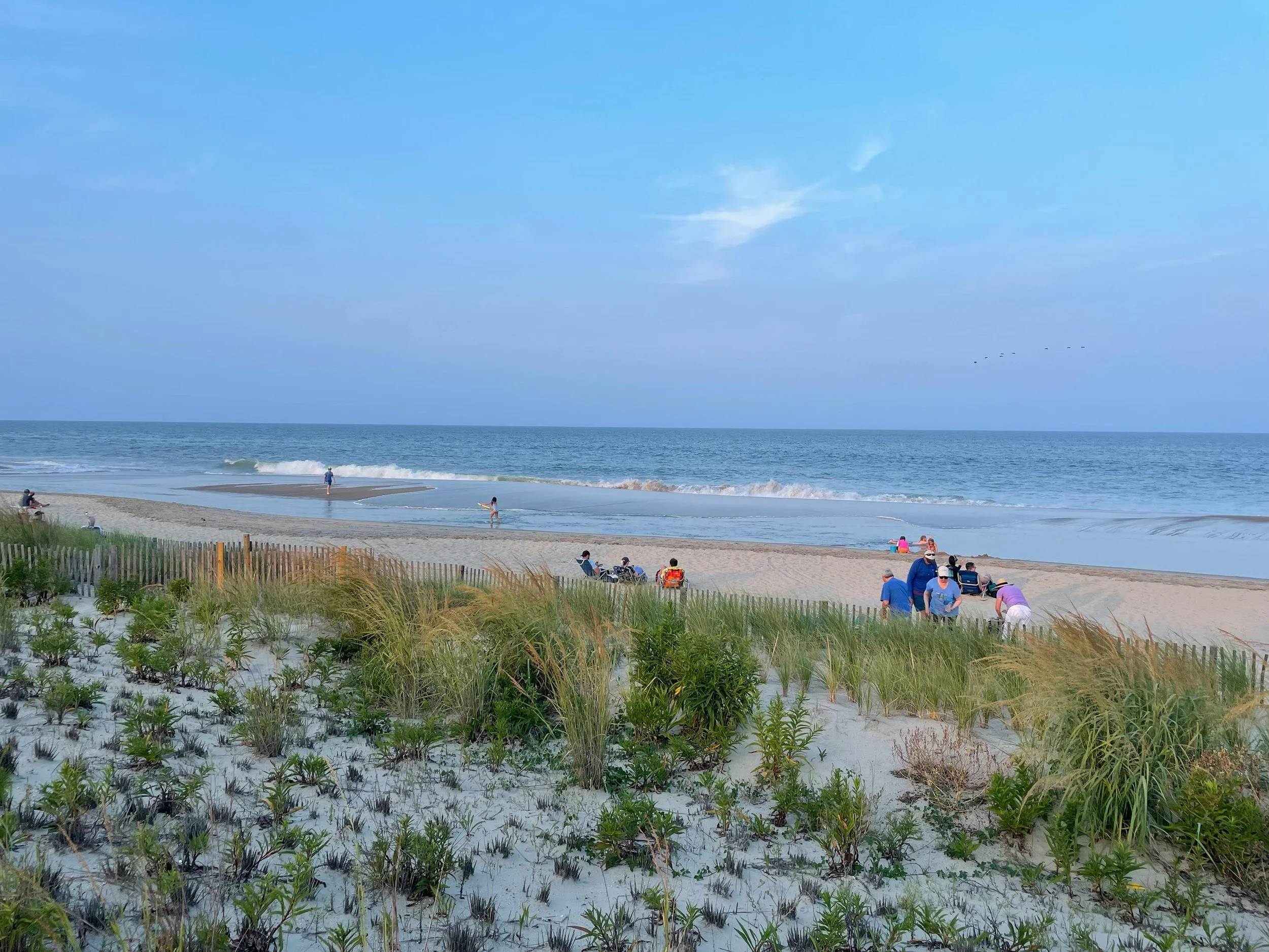 Best Siding Options for Beach Homes in Westhampton Beach