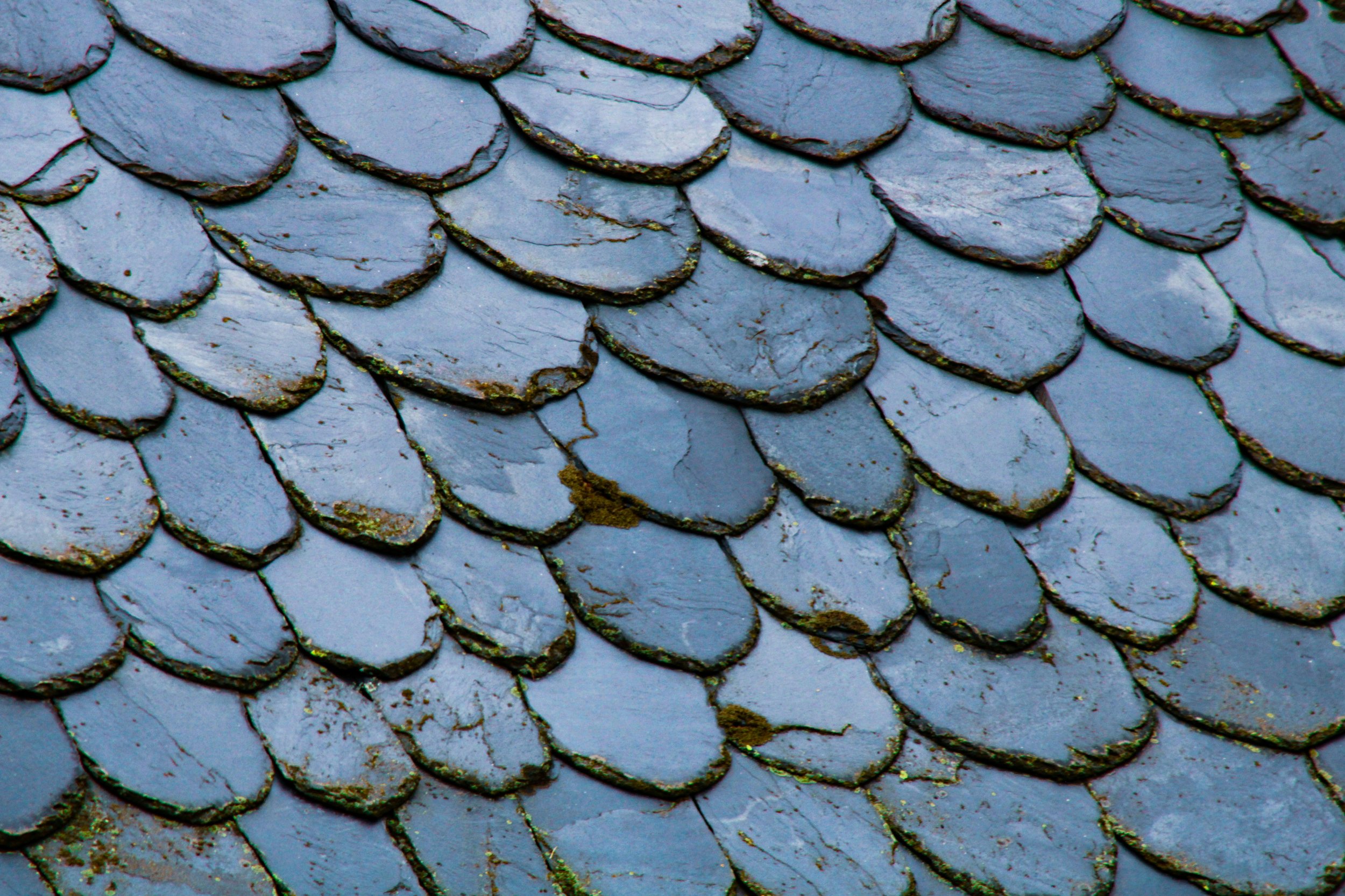 ddp-6ZaSS7e0T-4-unsplash.jpg