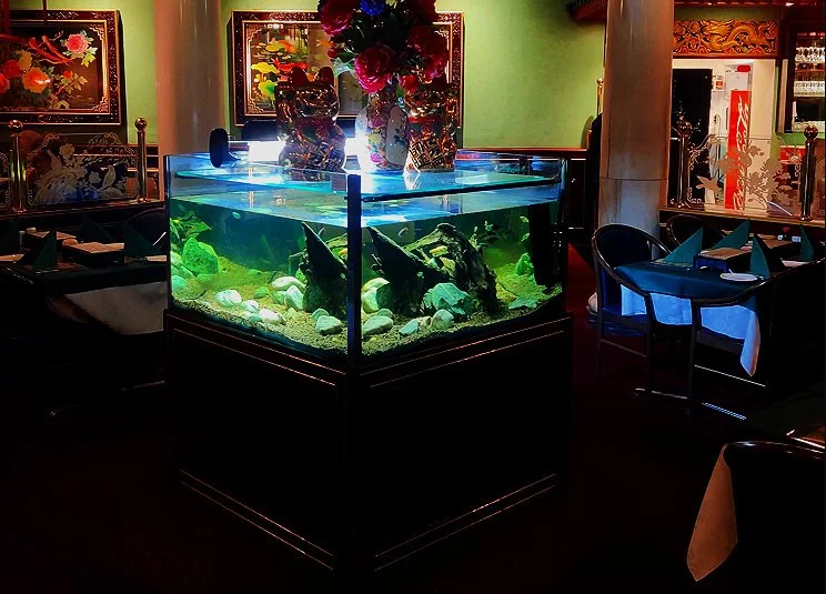 Tangs Restaurant