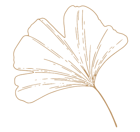 Gold outline drawing of a ginkgo leaf on a black background.