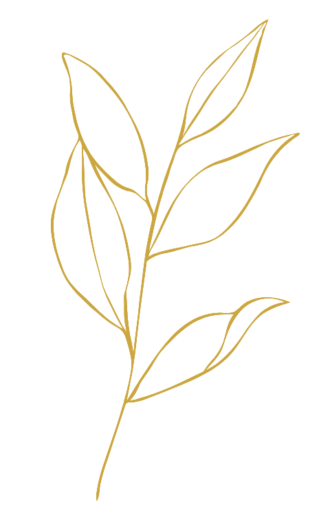 Rising plant icon for spiritual branding