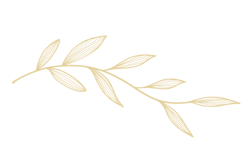 Blooming plant icon for spiritual branding