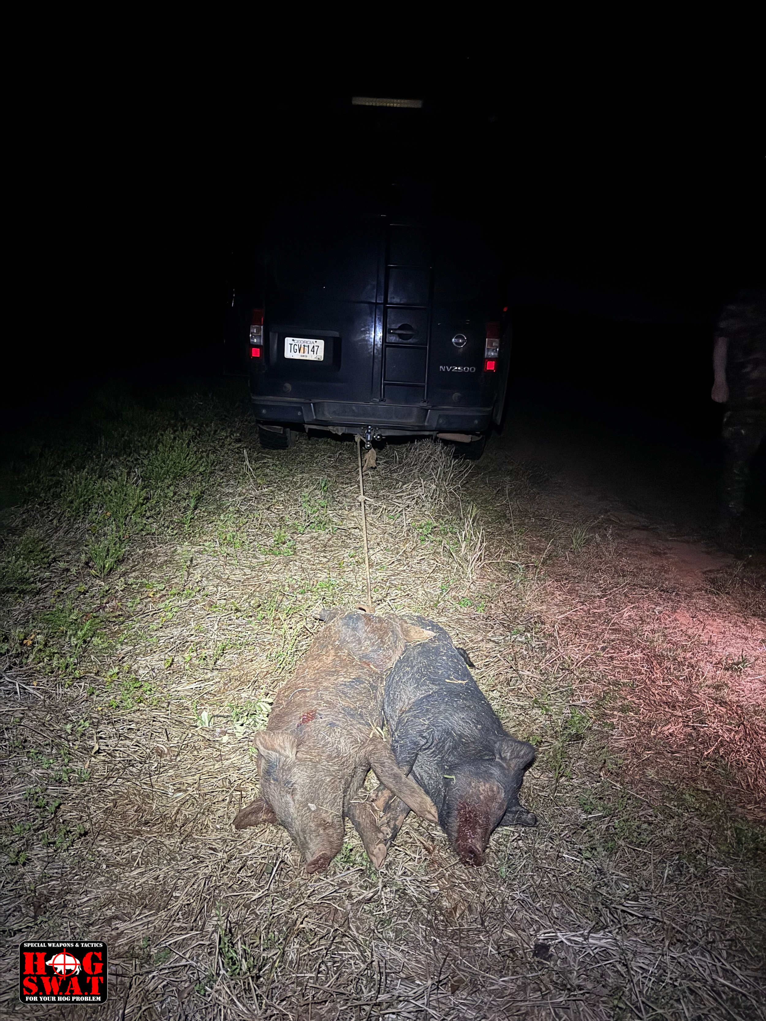 Wild Hog Hunting