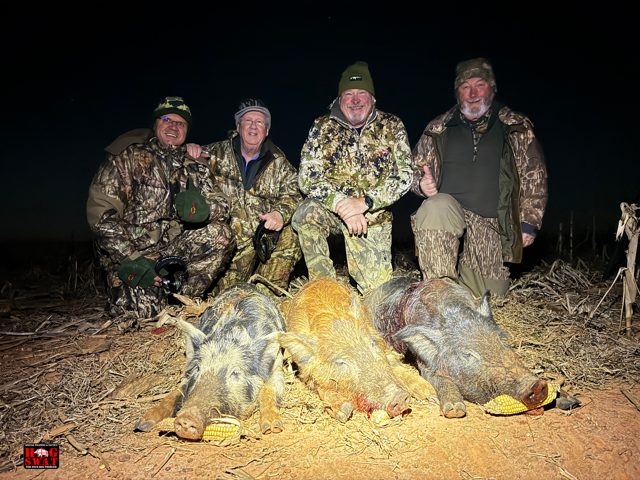 Hog Hunting