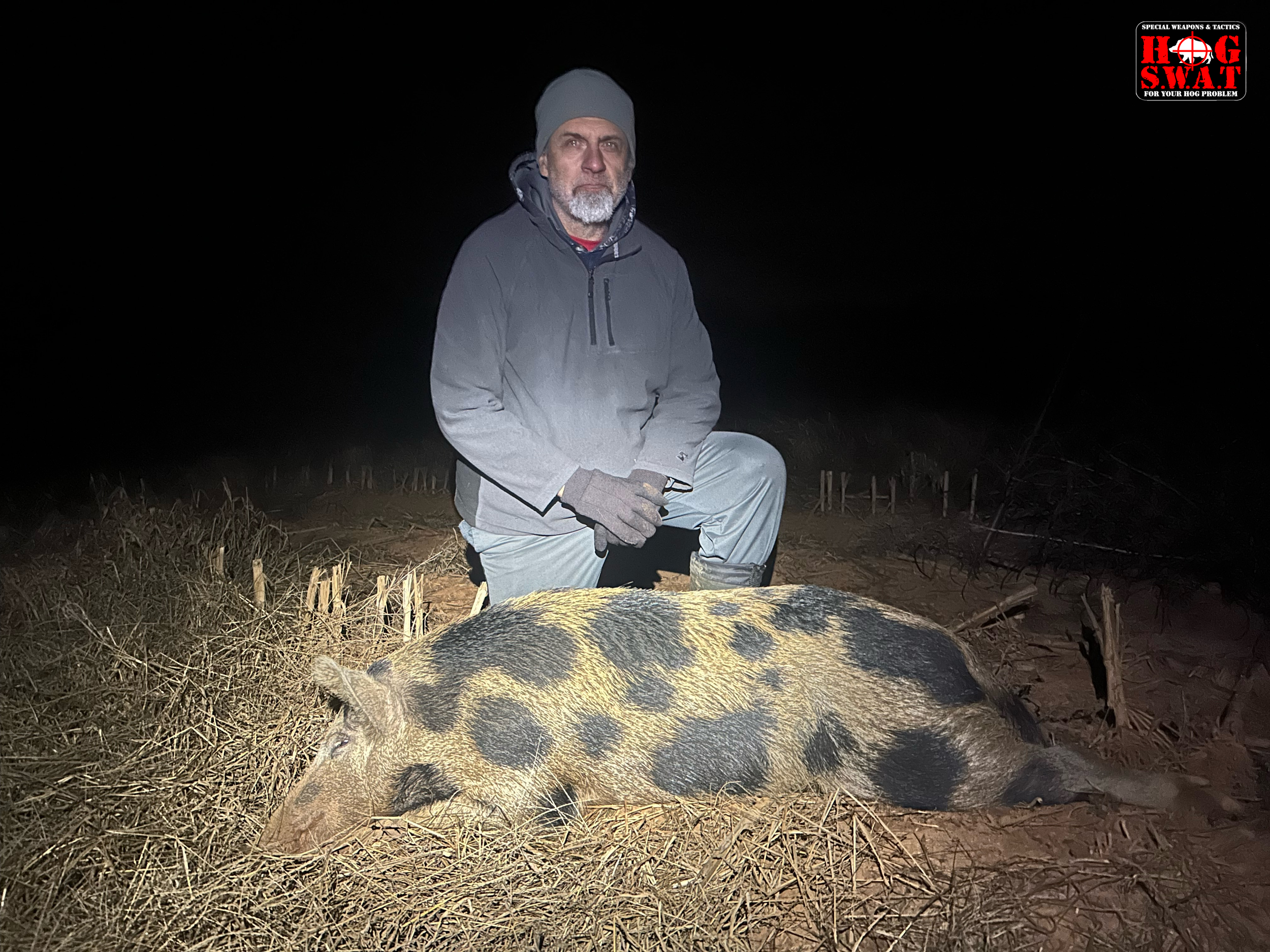 Hog Hunting