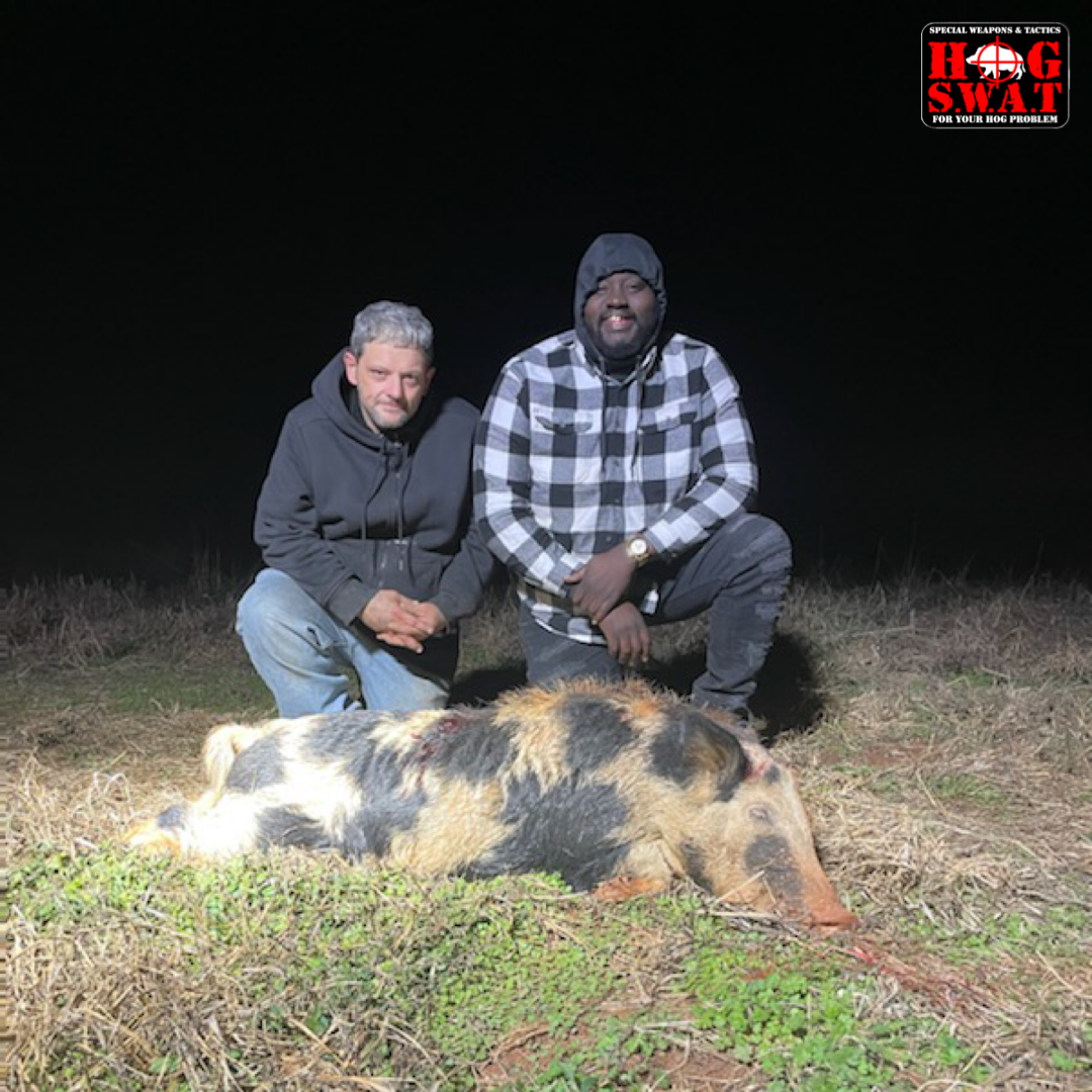 Wild Hog Hunting