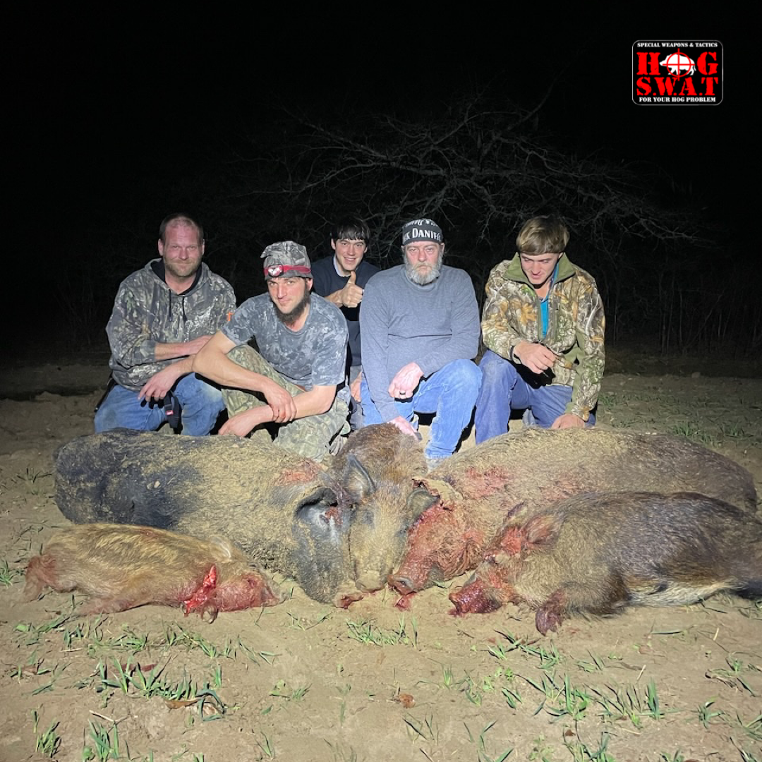 Wild Hog Hunting
