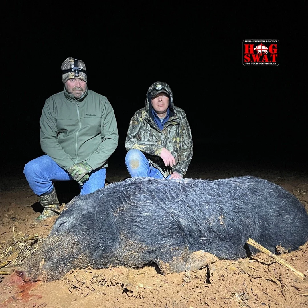 Night Hunting