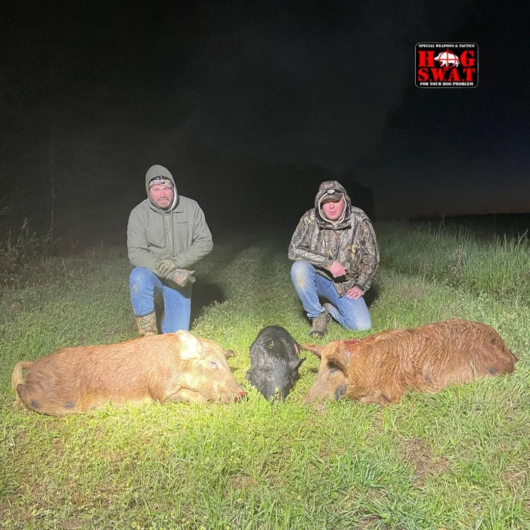 Night Hog Hunts