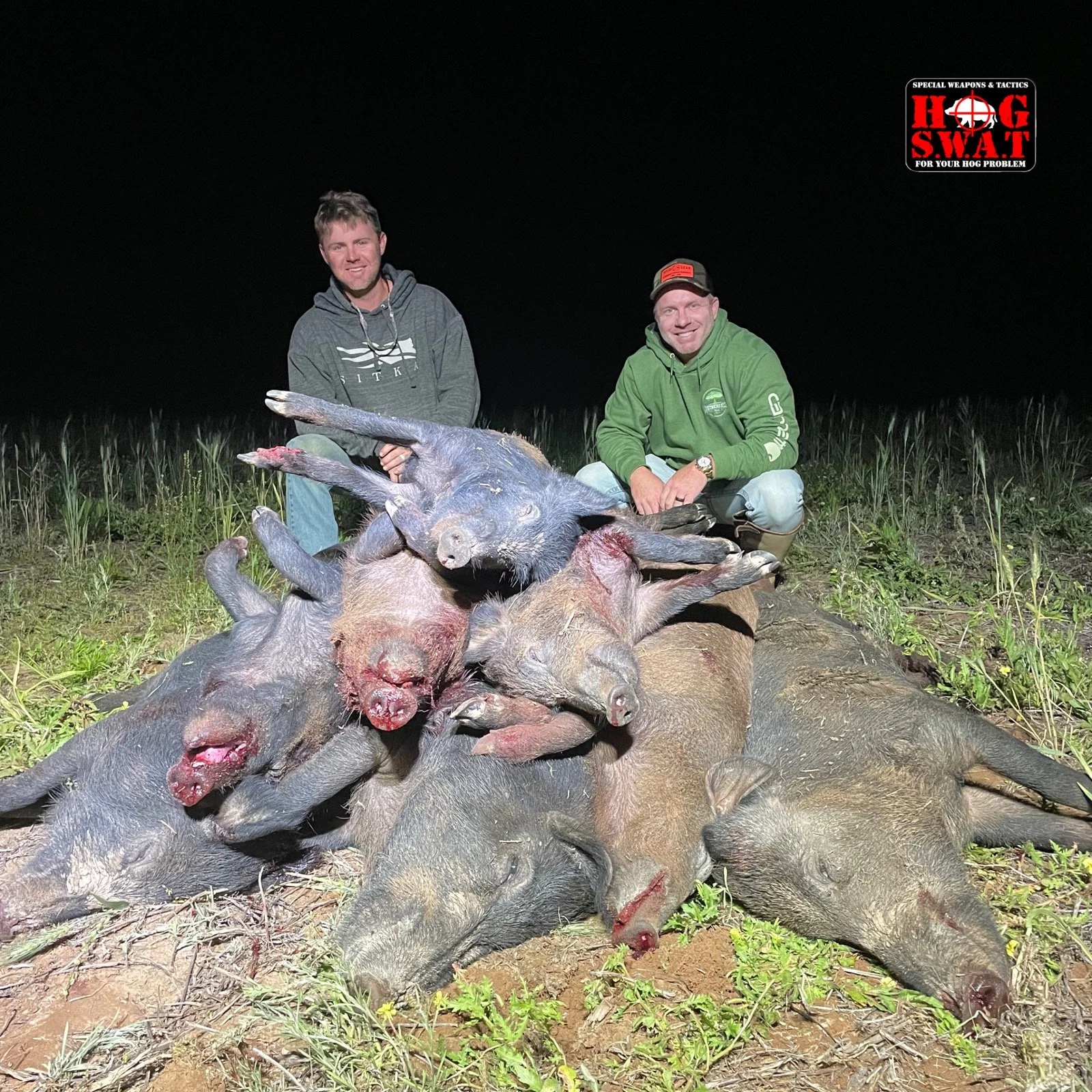 South Georgia Pig Pile