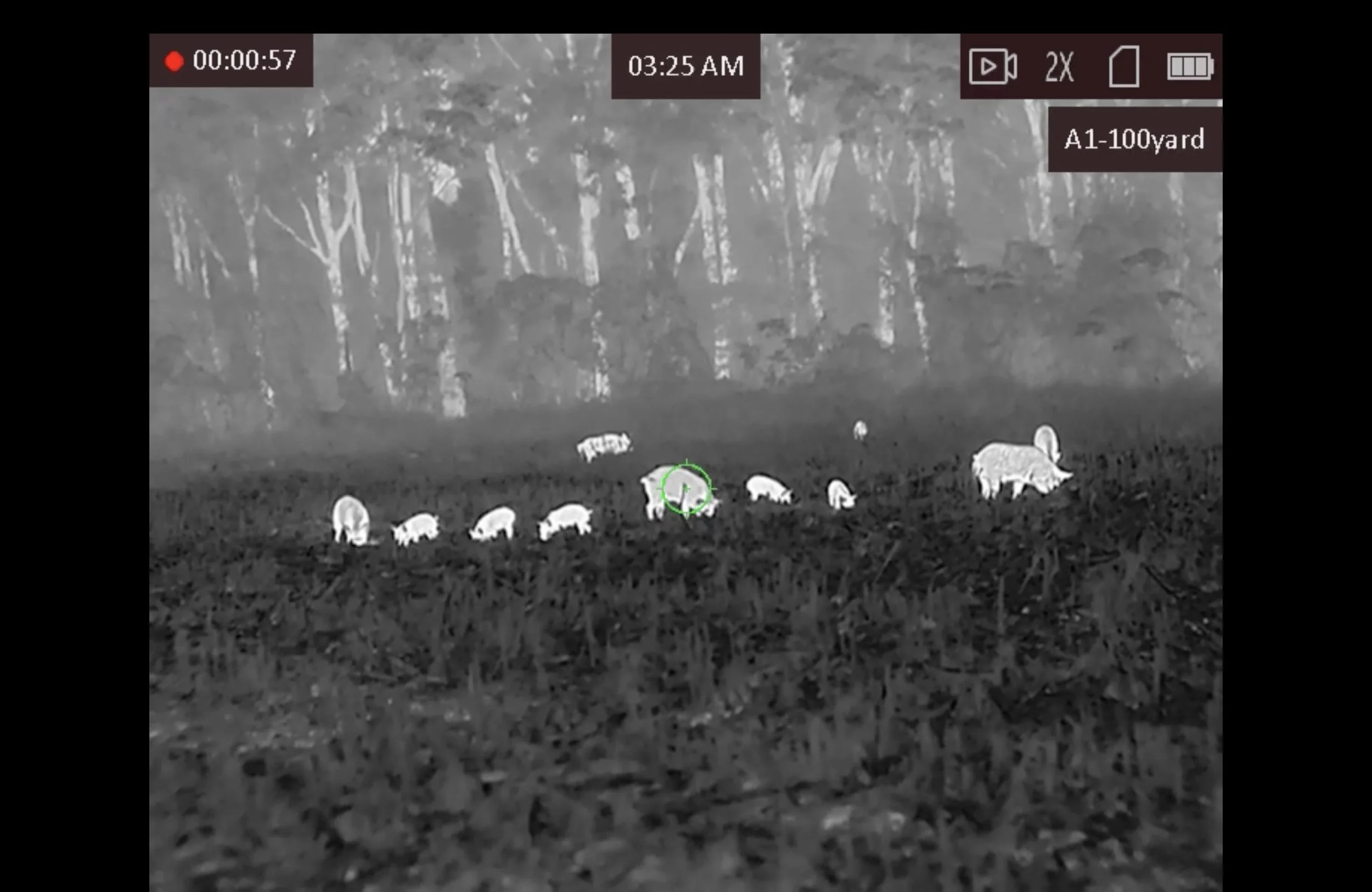 Hog SWAT 2 Night Hog Hunt