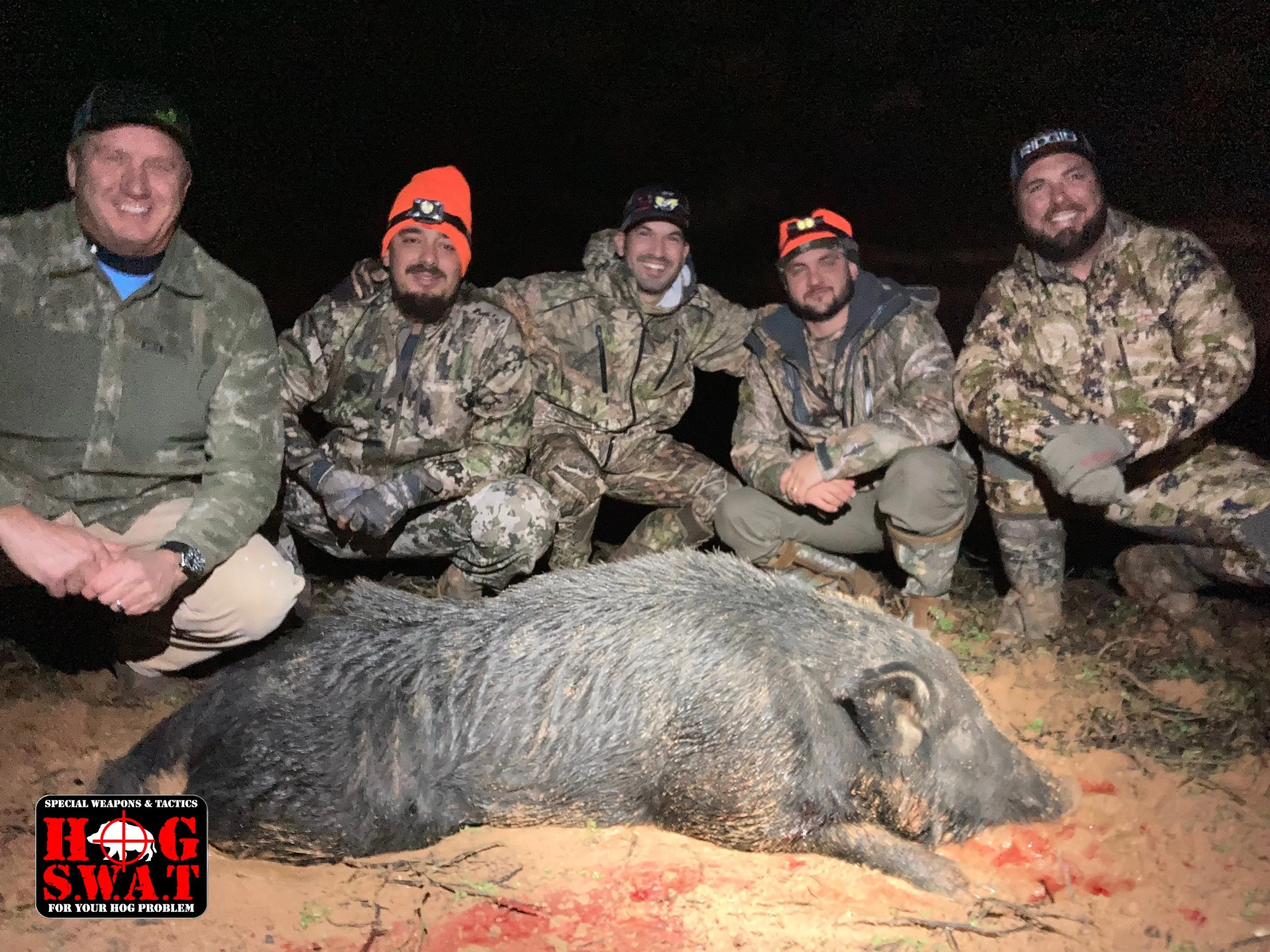300lb Boar