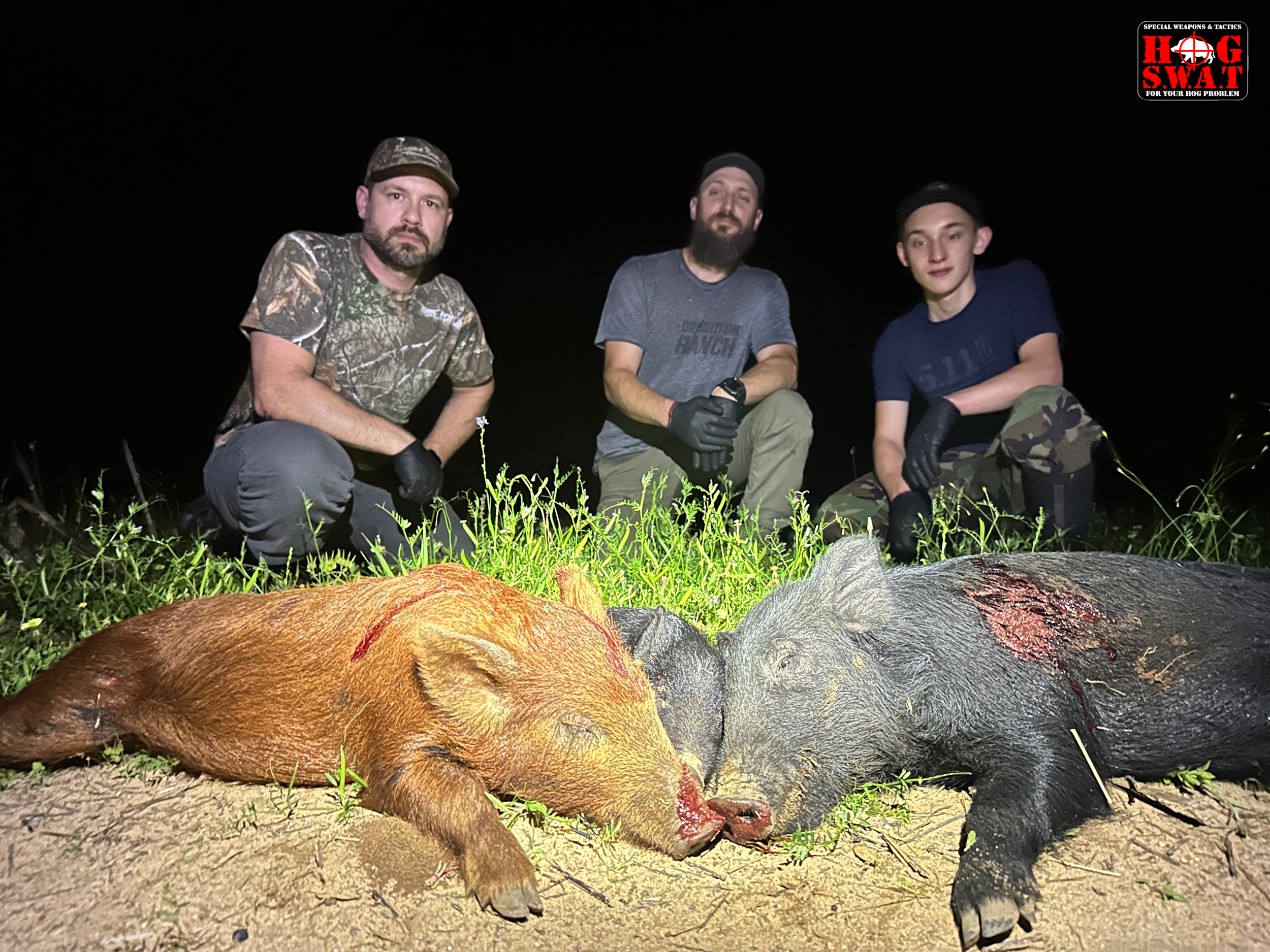 Hunting Hogs