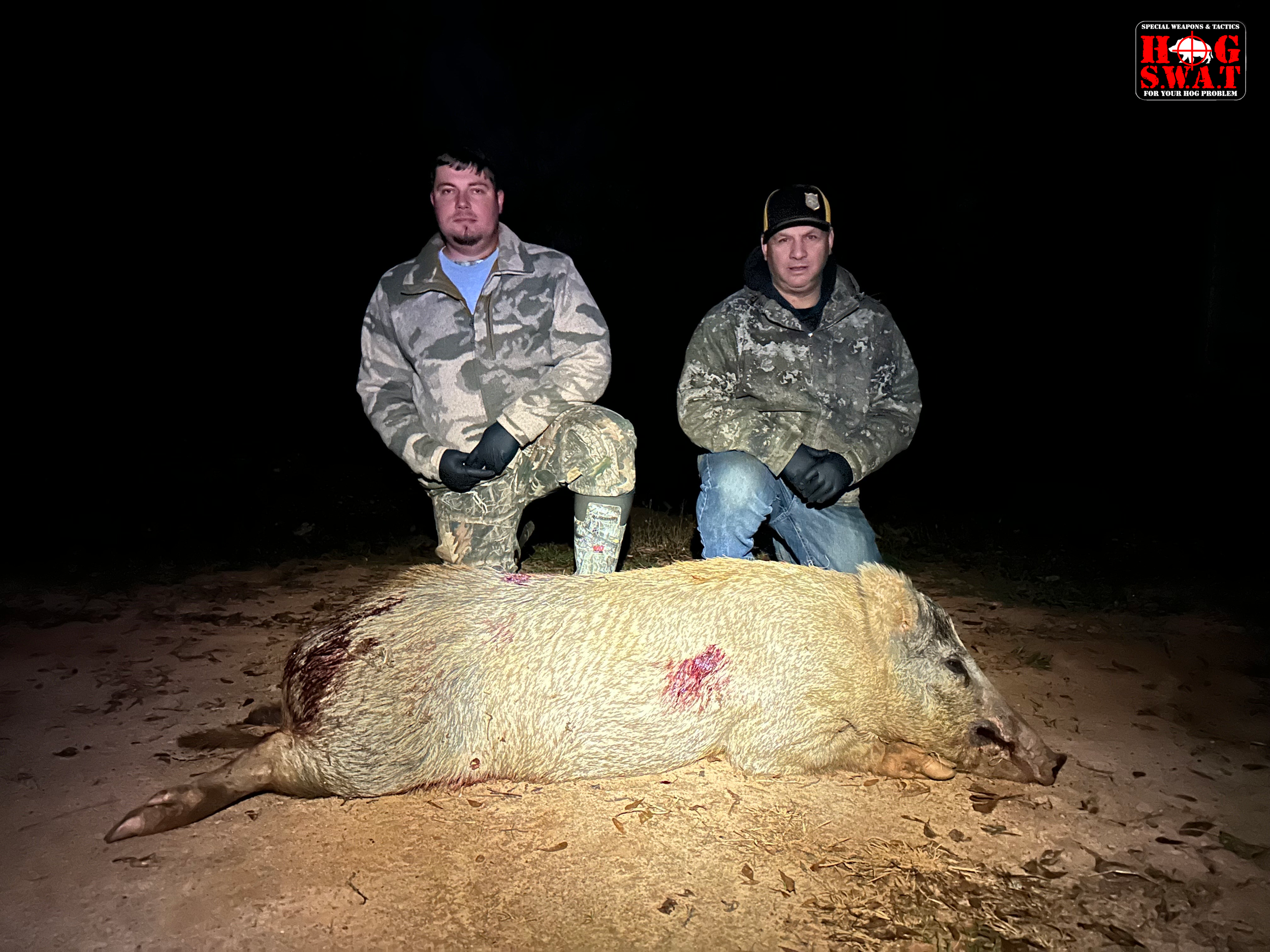2 nights of Hog Hunting