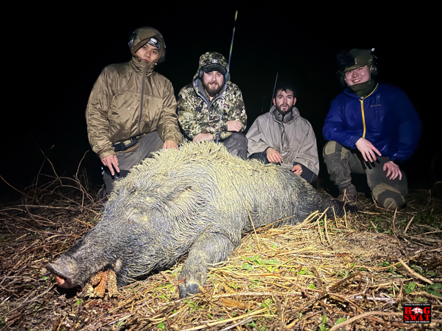 South Georgia Hog Hunt