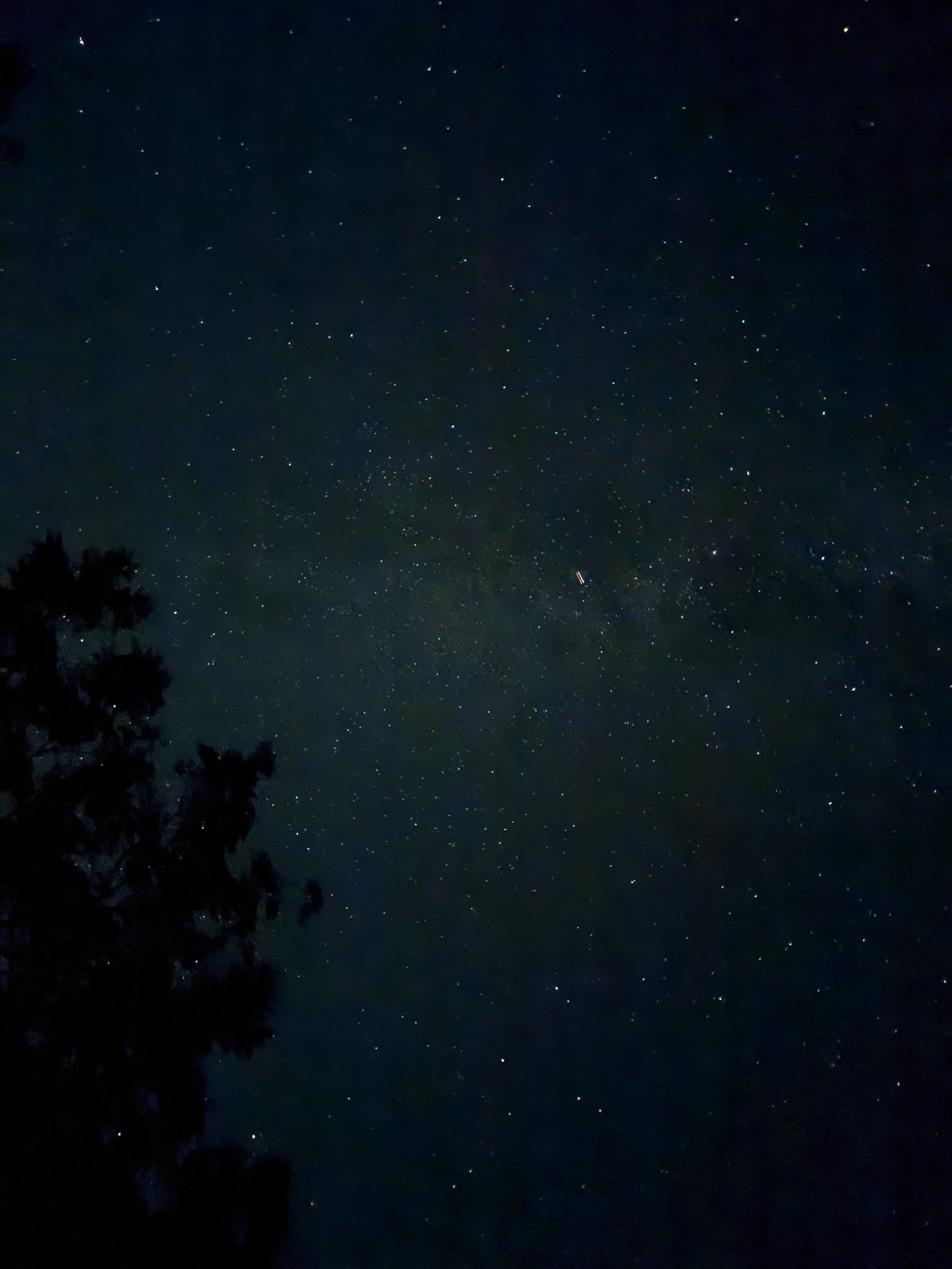 Nonstop Activity and Multiple Opportunities