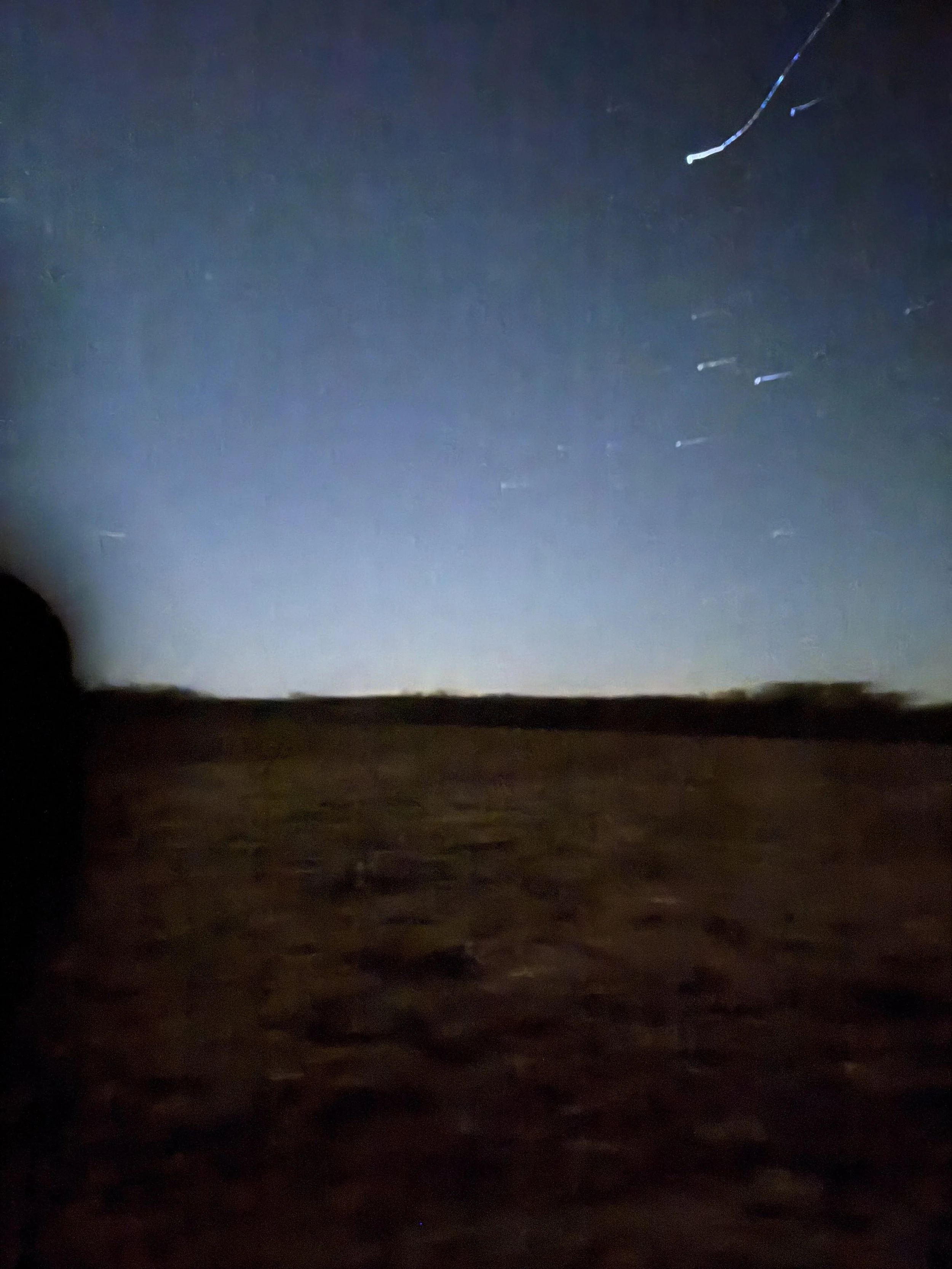 Hog Hunting: Close Encounters