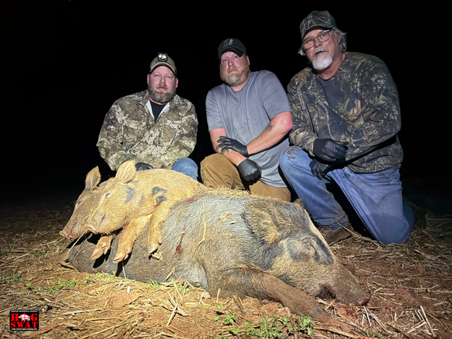Hog Hunting In South Georgia