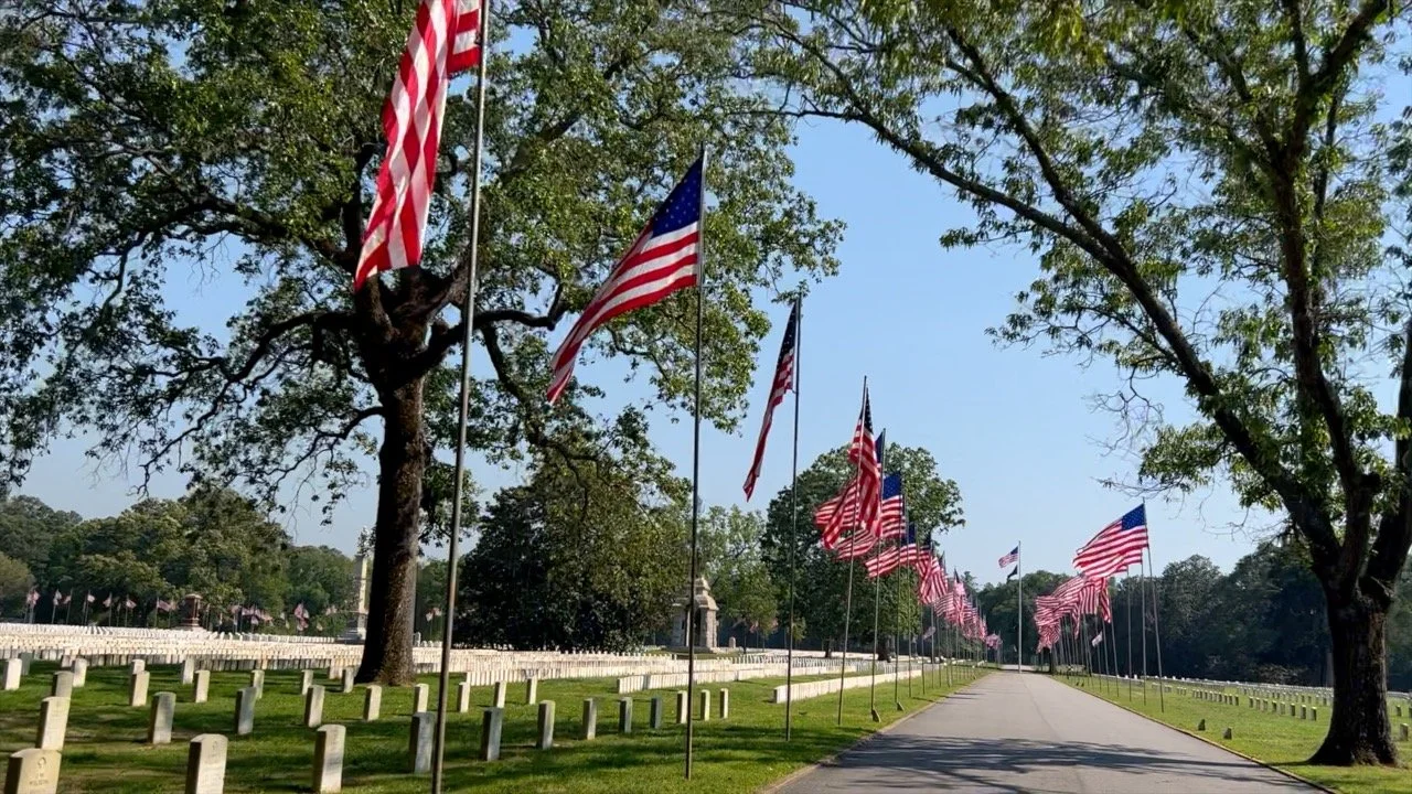 Memorial Day - Freedom