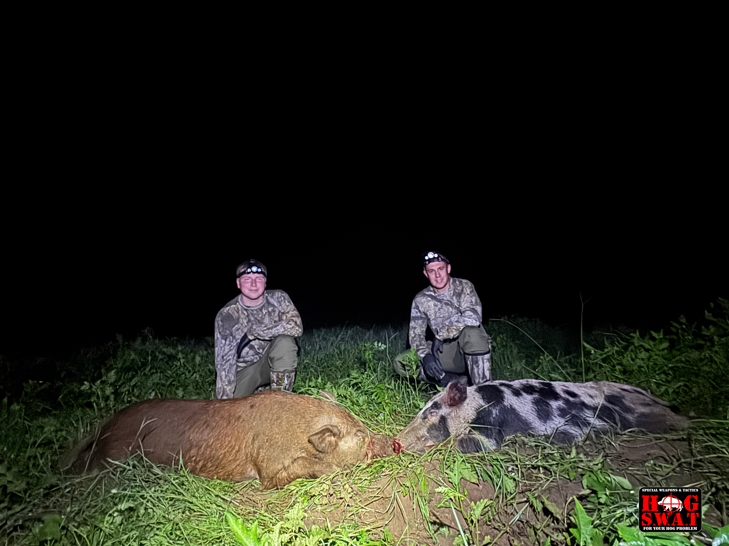 Hog Hunting For the First time