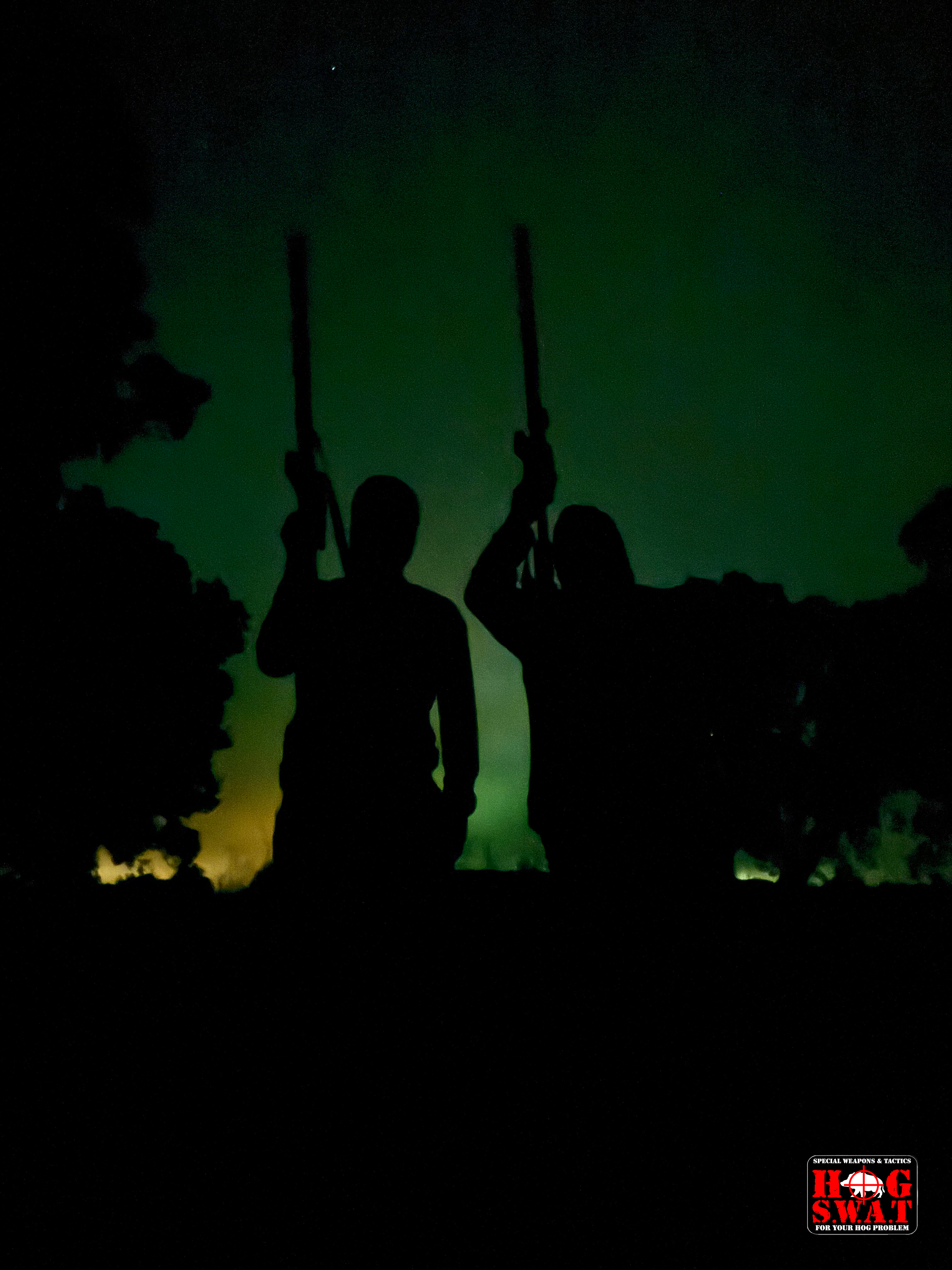 Hog Hunt - Georgia Hog Hunts