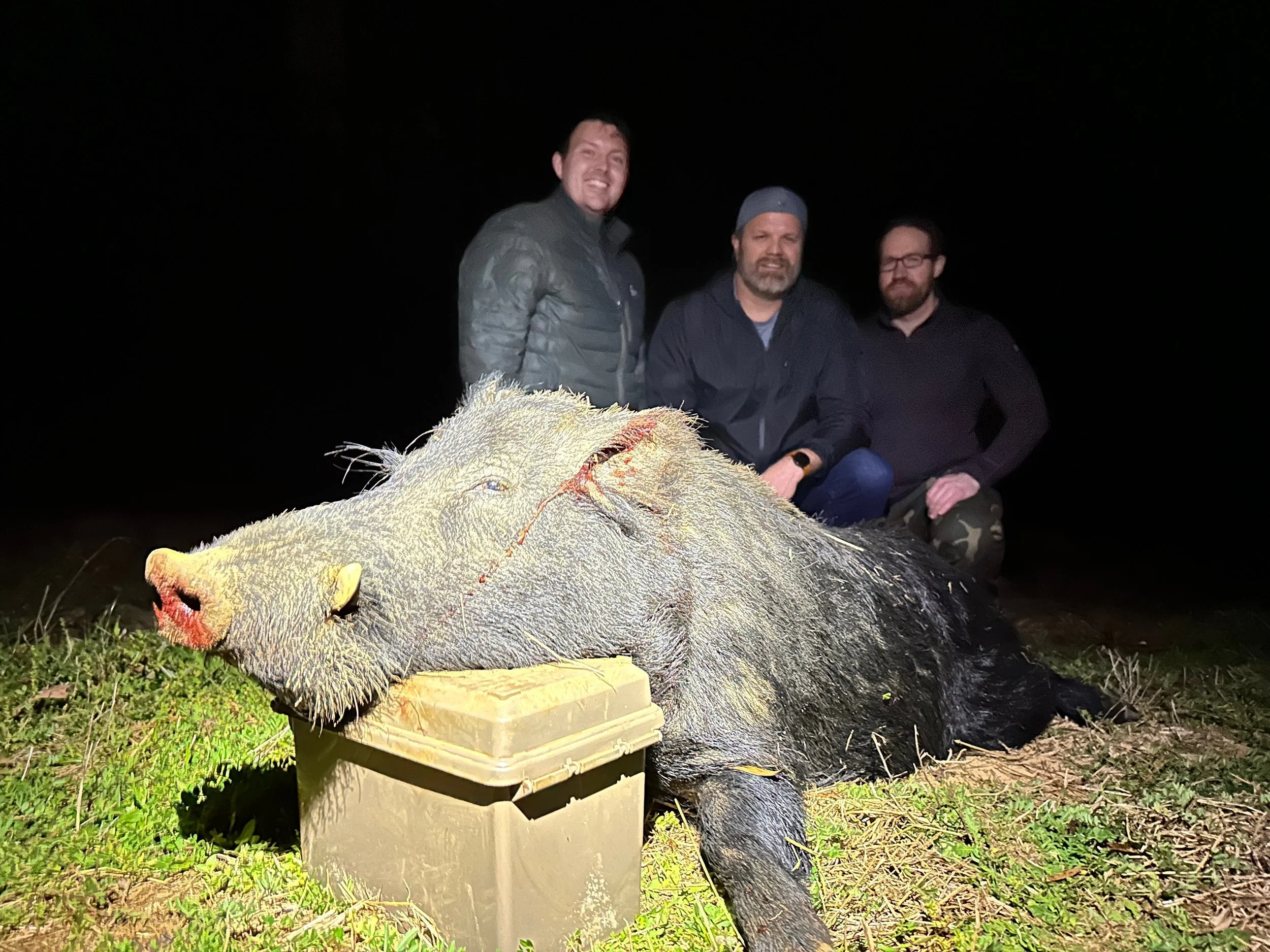 Trophy Wild Boar Hunting