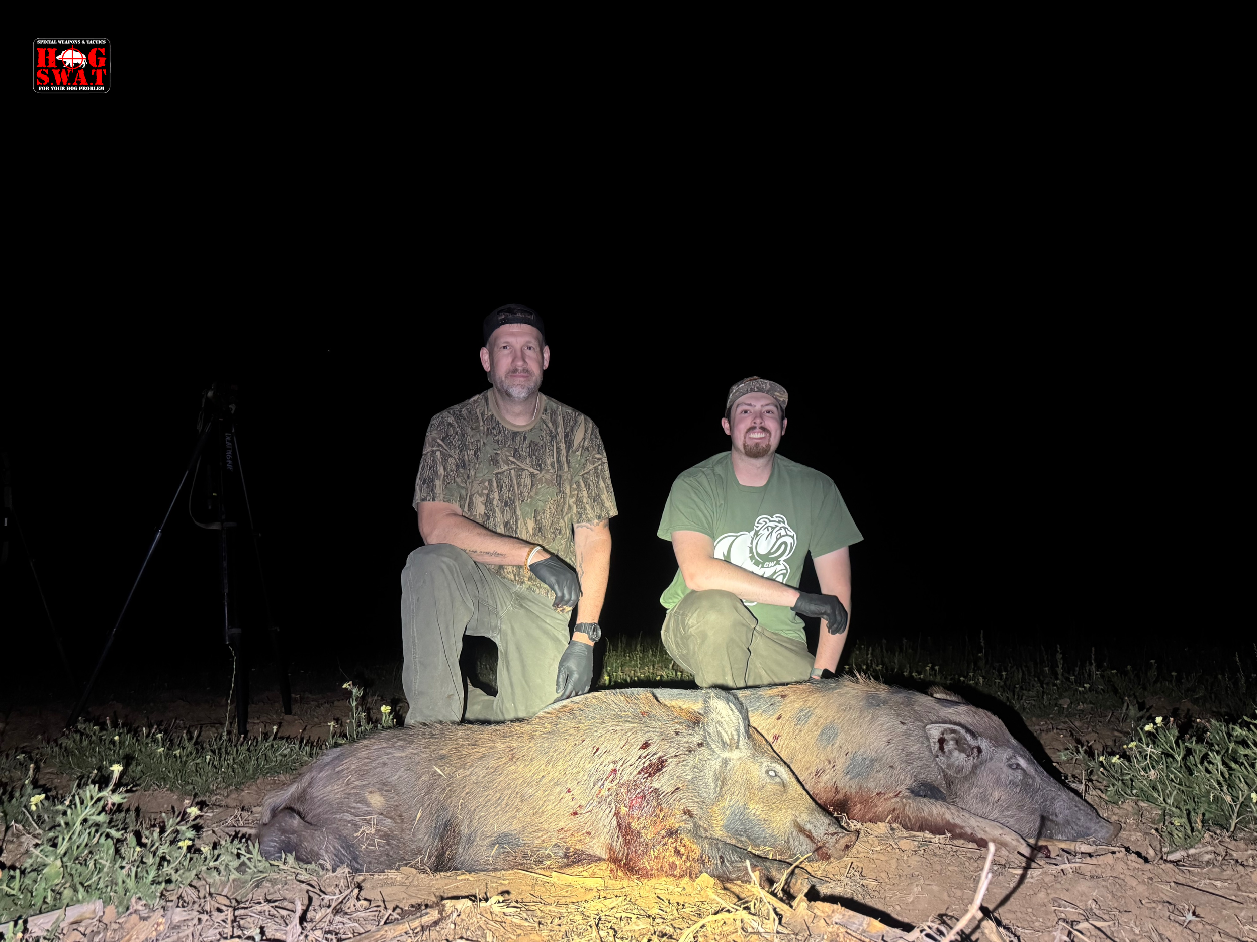 Guided Hog Hunting