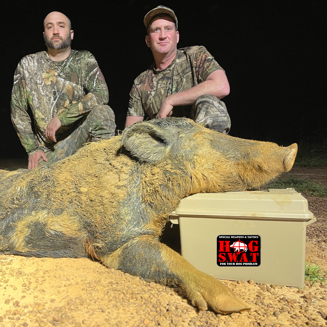 PNG image-E15B18956B80-1.png