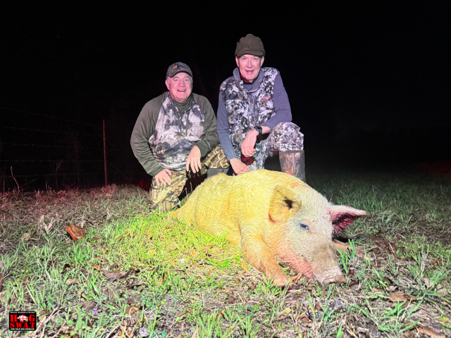 Hog Hunting