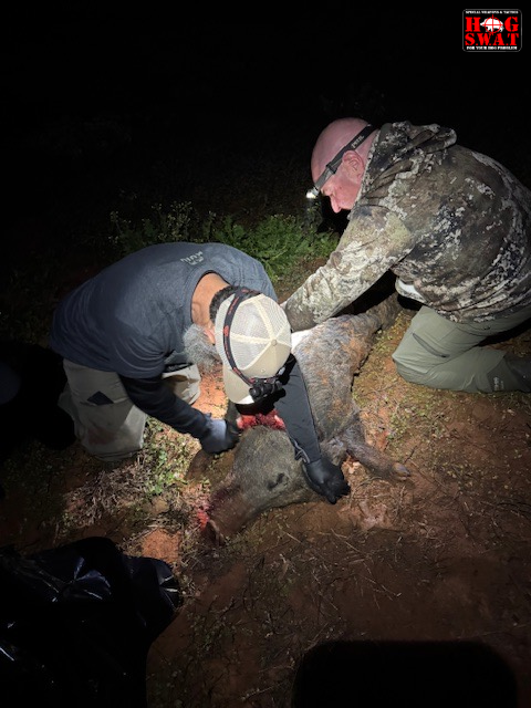 Hands On Hog Hunts