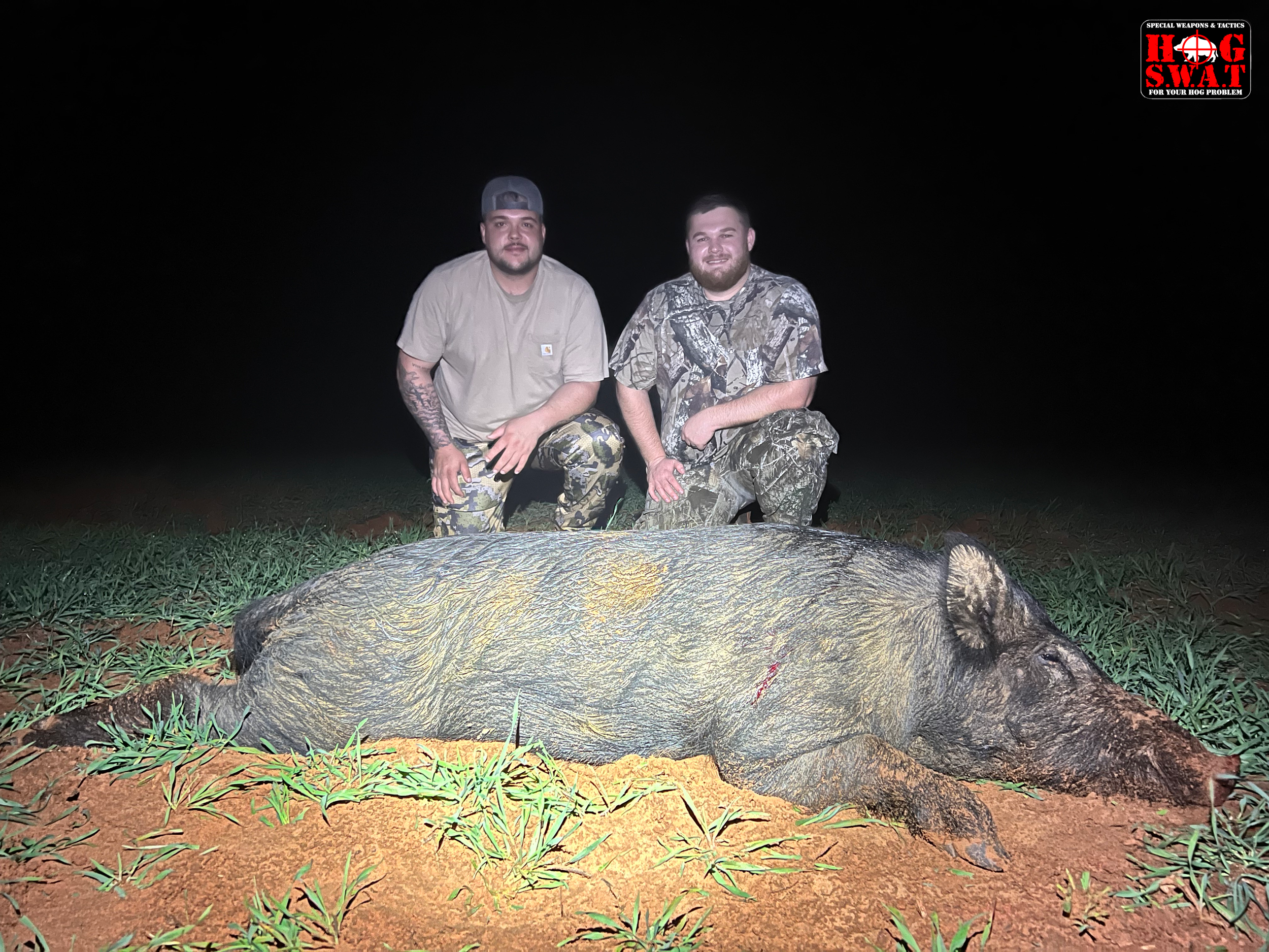 Wild Hog Hunting