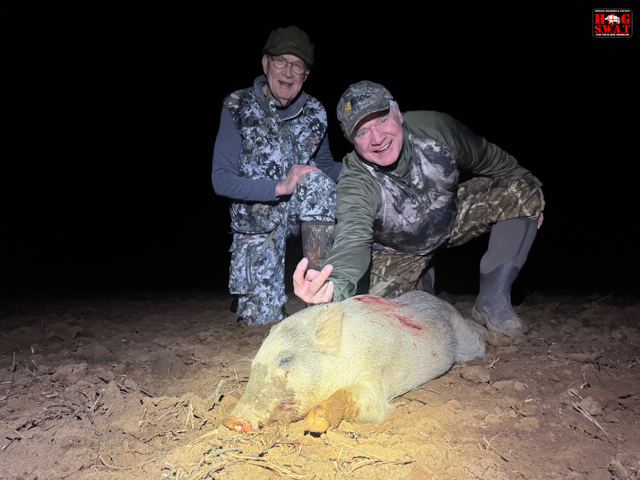 Night Hog Hunting