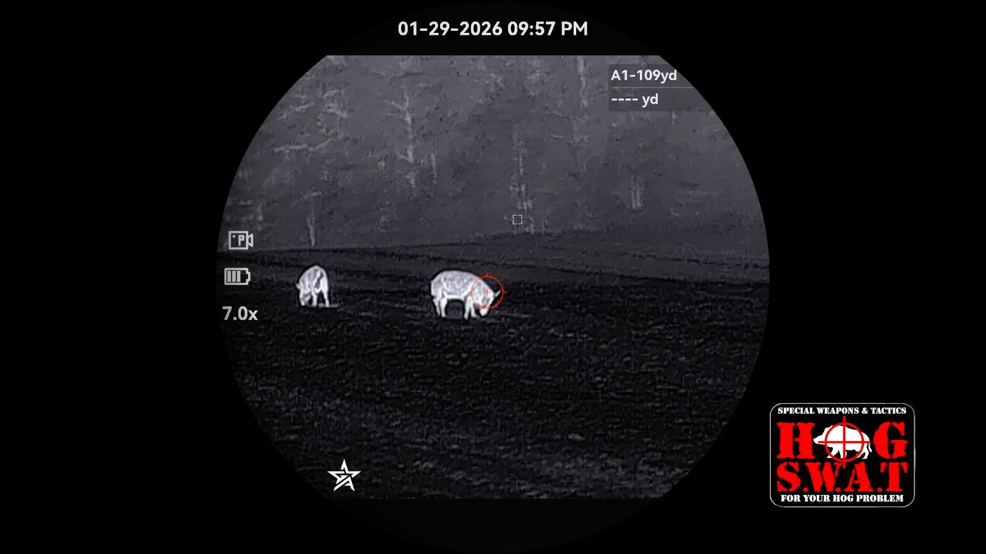 Thermal Hog Hunting Video