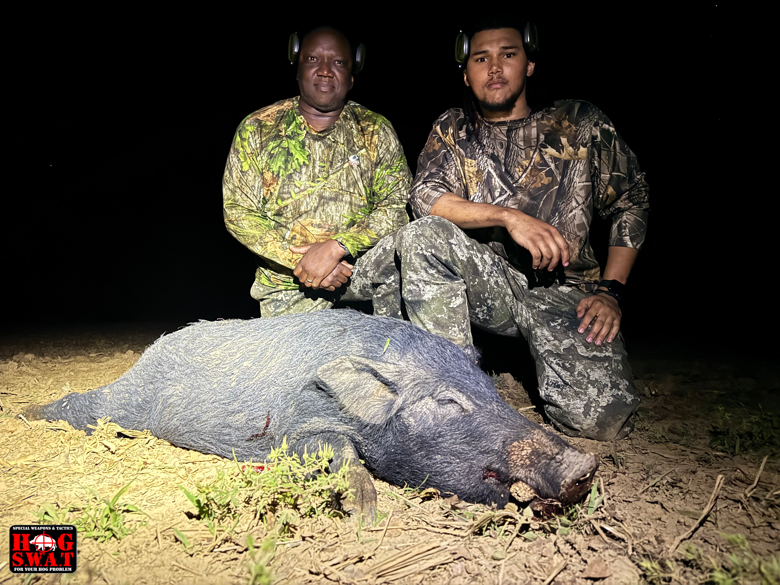 Wild Hog Hunts