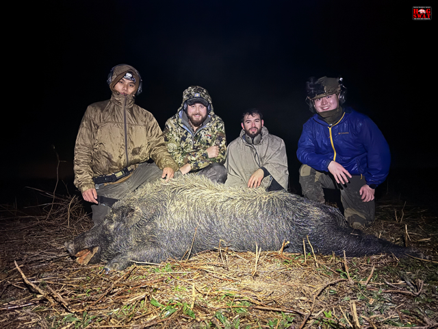 Hog Hunting In The South East