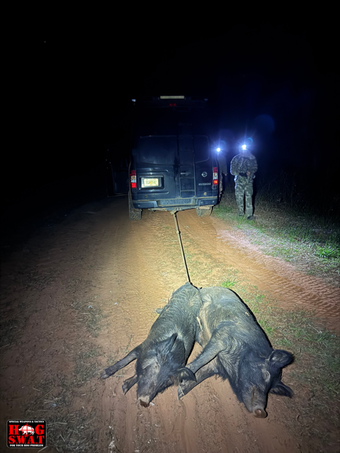 Georgia Boar Hunting