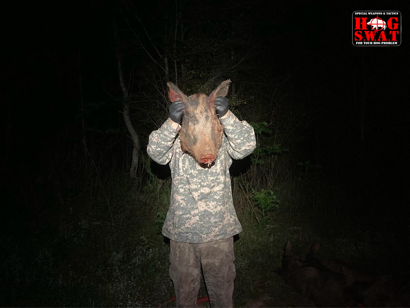 What A Fun Hunt! — Hog S.W.A.T. Guided Night Hog Hunt - Southwest ...