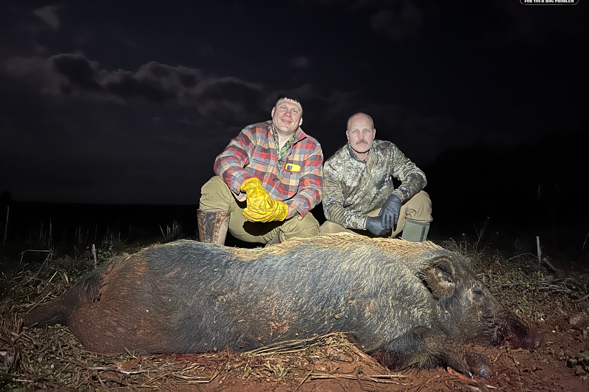 Georgia Guided Hog Hunt
