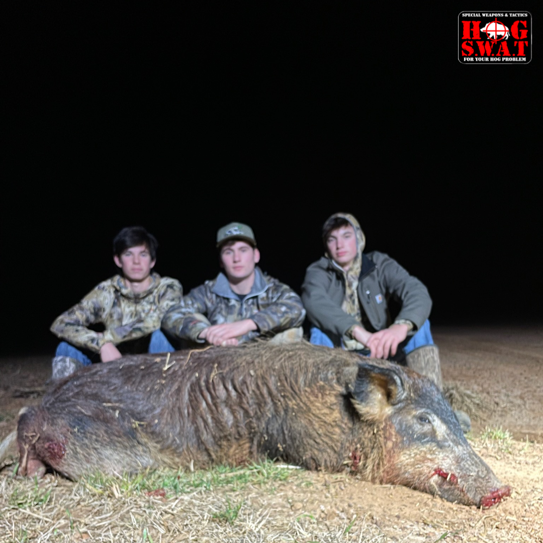 PNG image-DE7853B3034B-1.png